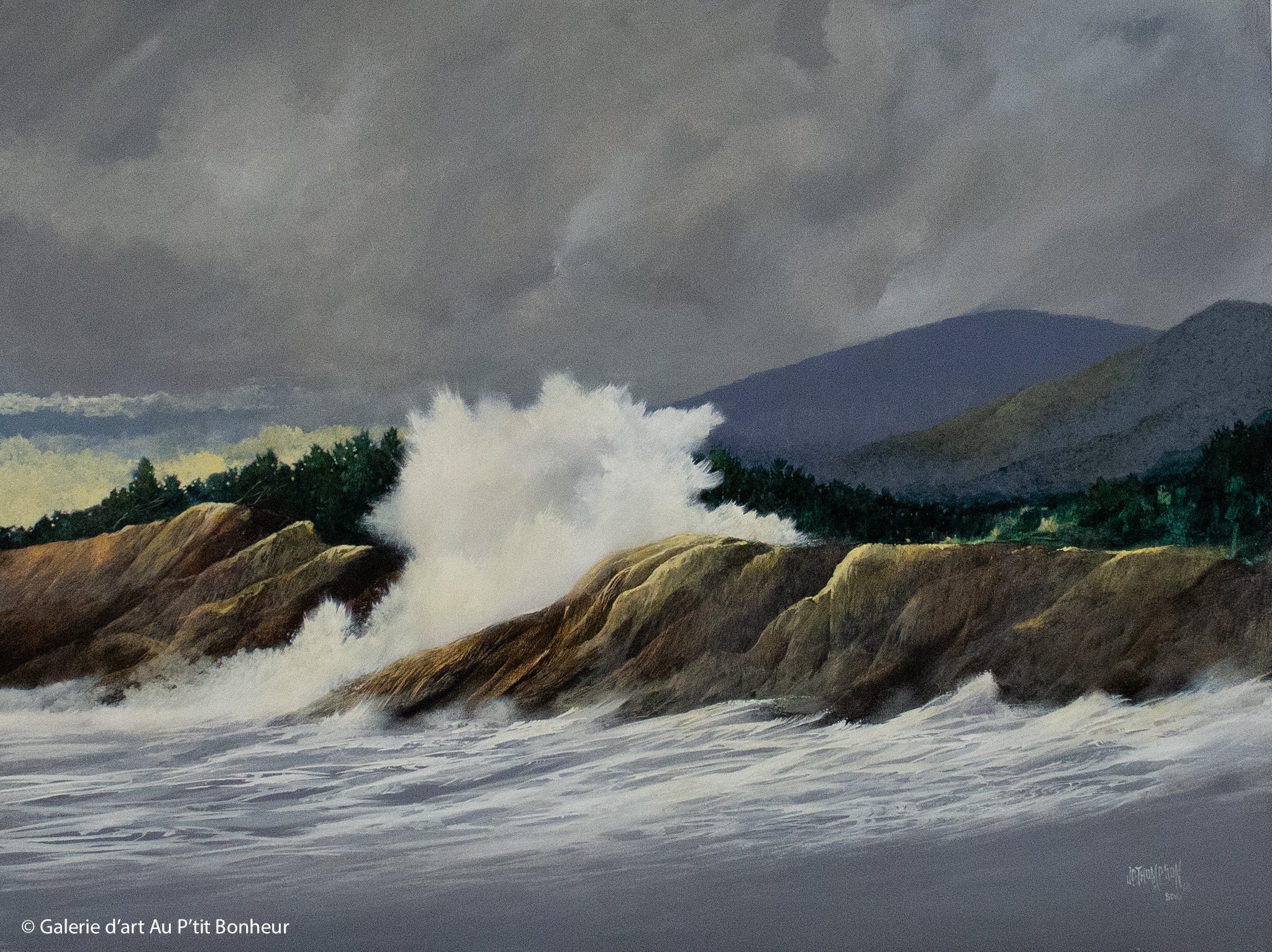 J. Douglas Thompson | Tofino Foam