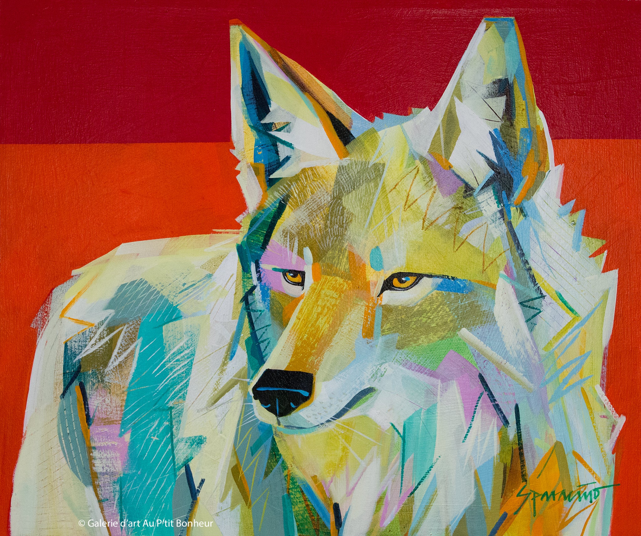 Jennifer Sparacino | Coyote Sunset