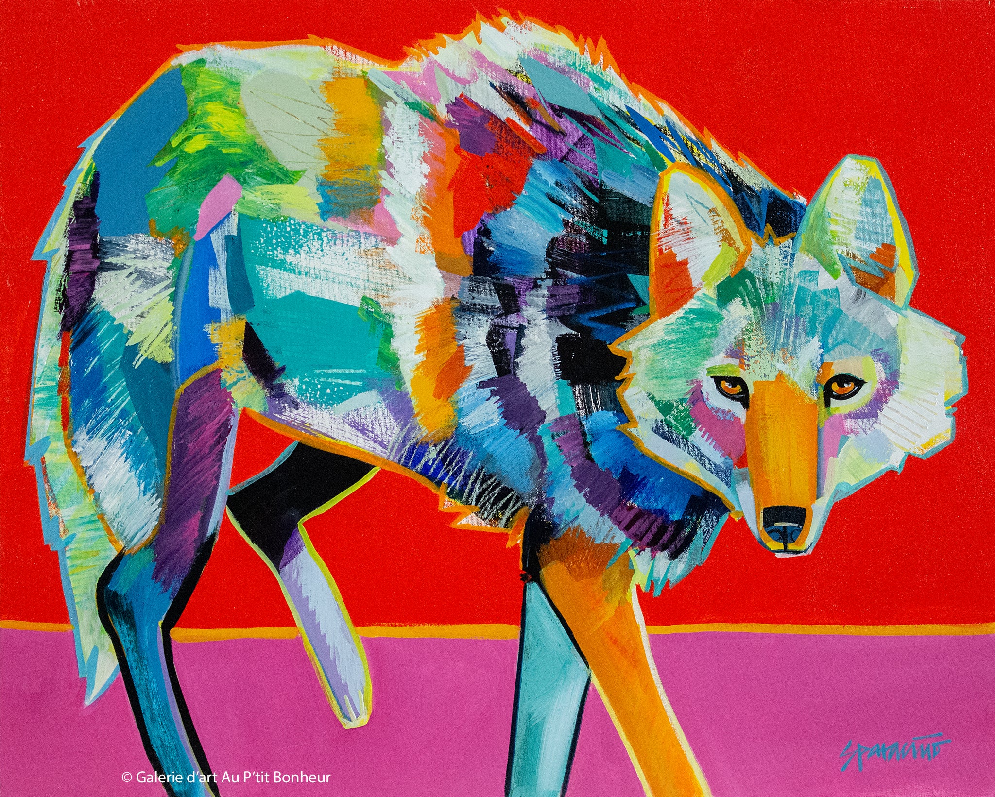 Jennifer Sparacino | Coyote’s Gaze