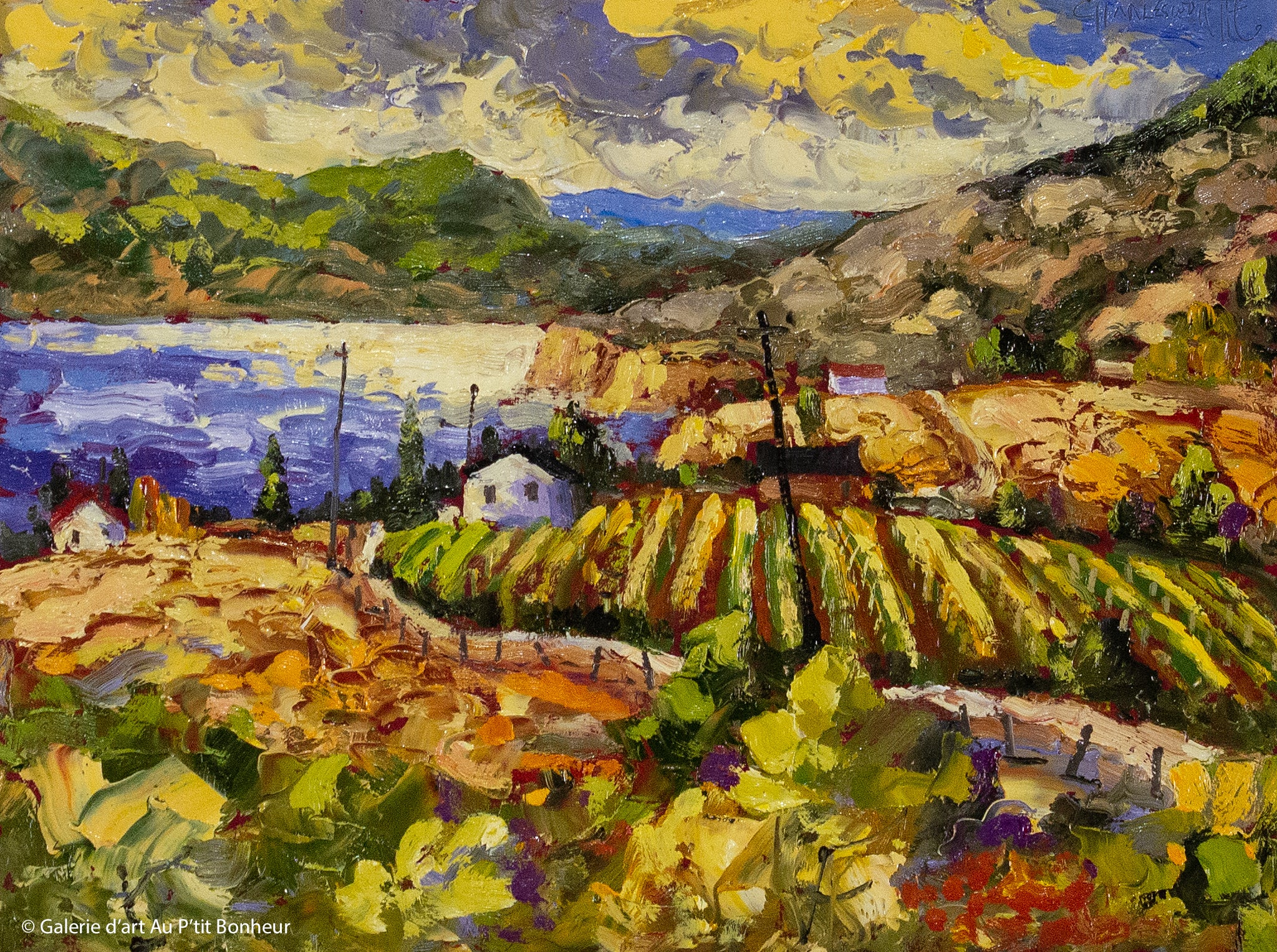 Rod Charlesworth | September Vineyard, Okanagan