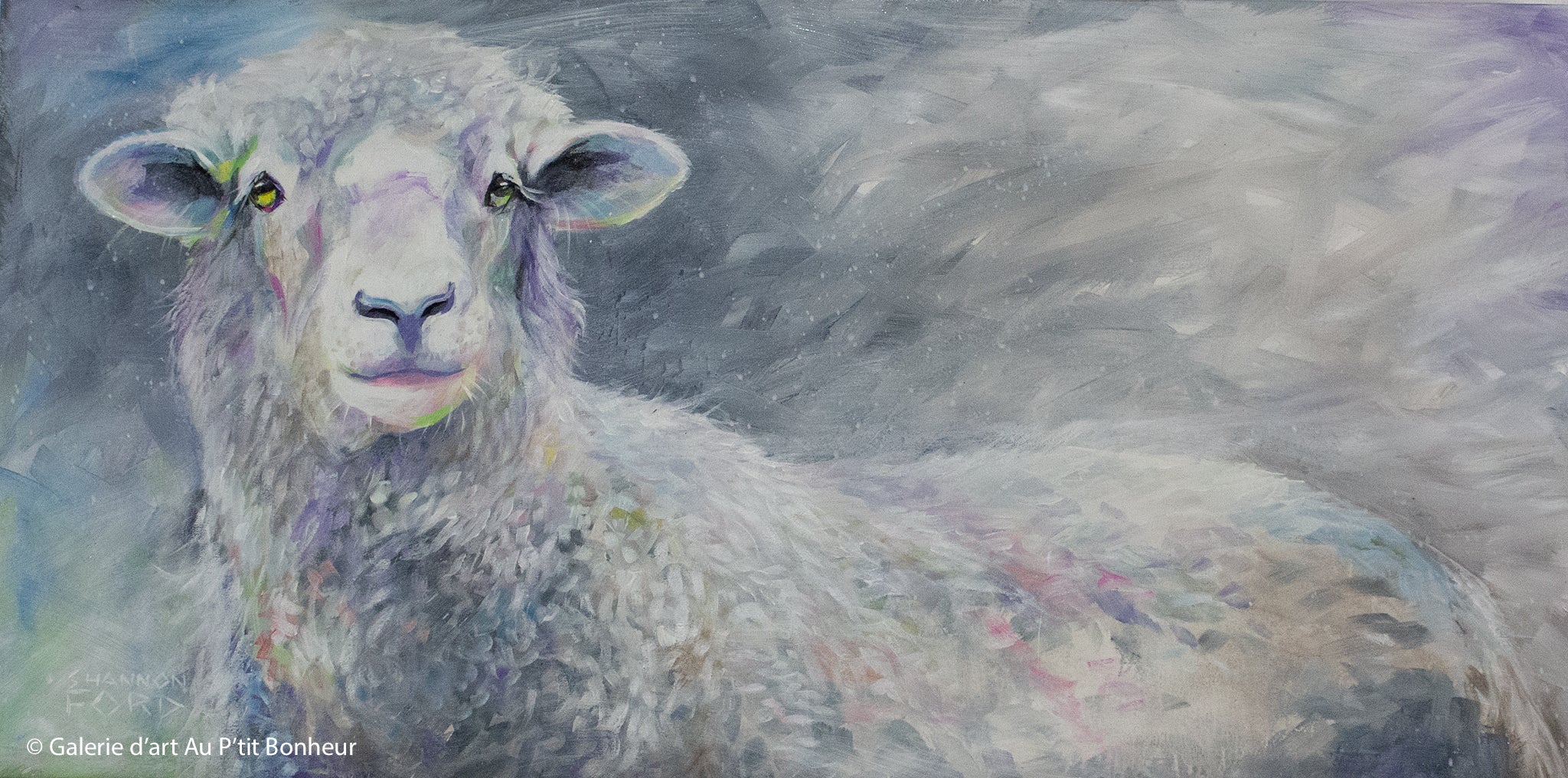 Shannon Ford | Hello Ewe 1